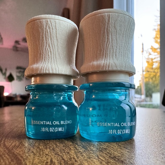 Lifelines Crisp Mountain Air Essential Oil Blends 2ct - Picture 2 of 3